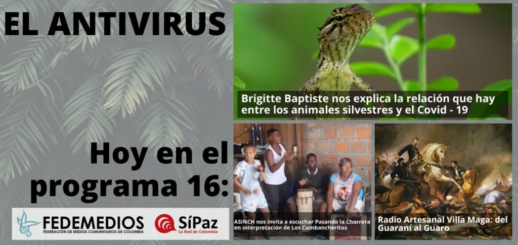 EL ANTIVIRUS Programa No.161