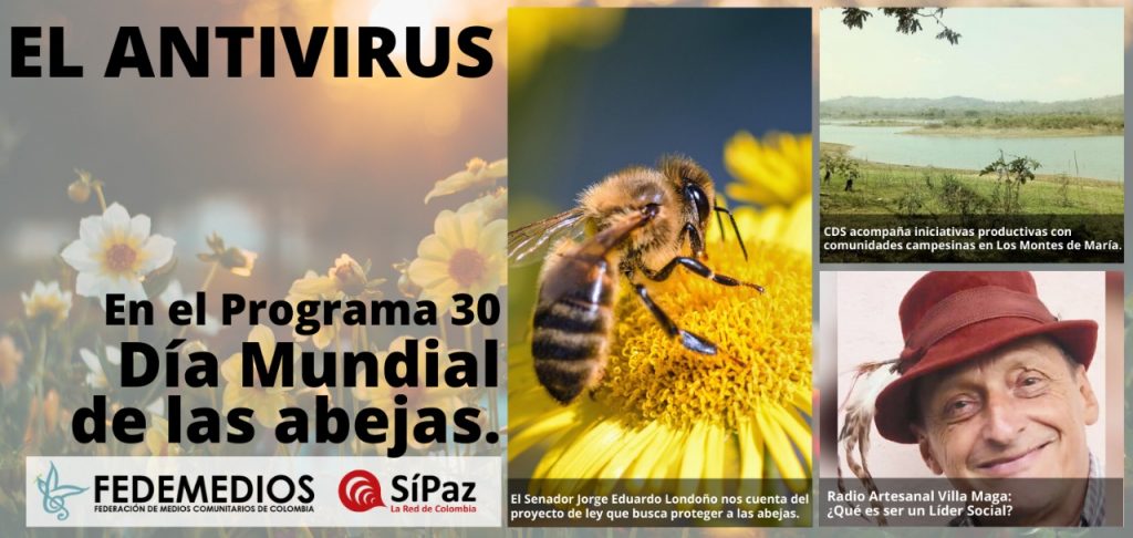 EL ANTIVIRUS Programa No.30