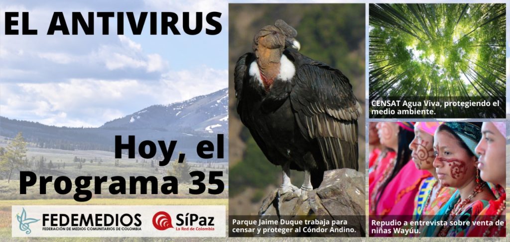 EL ANTIVIRUS Programa No. 35