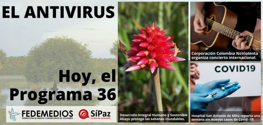 El Antivirus Programa No.36