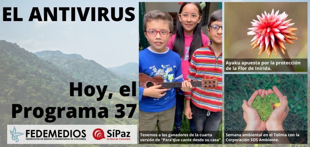 EL ANTIVIRUS Programa No.37