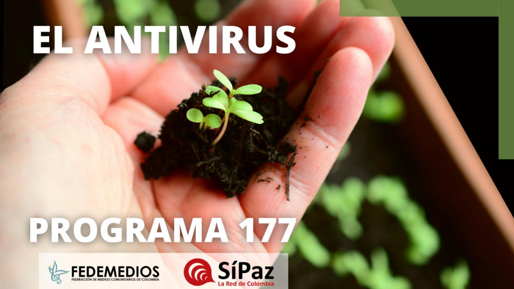 El Antivirus – Programa 177