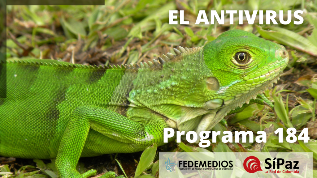 El Antivirus – Programa 184