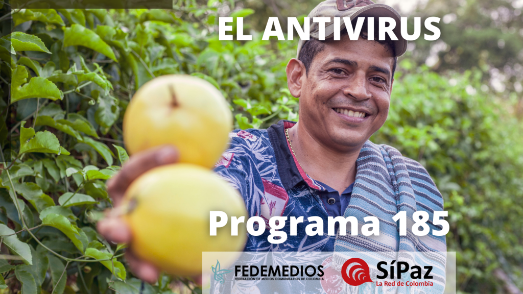 El Antivirus – Programa 185