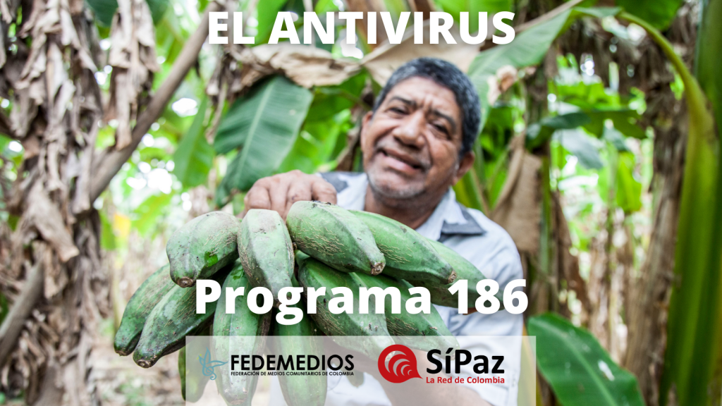 El Antivirus – Programa 186