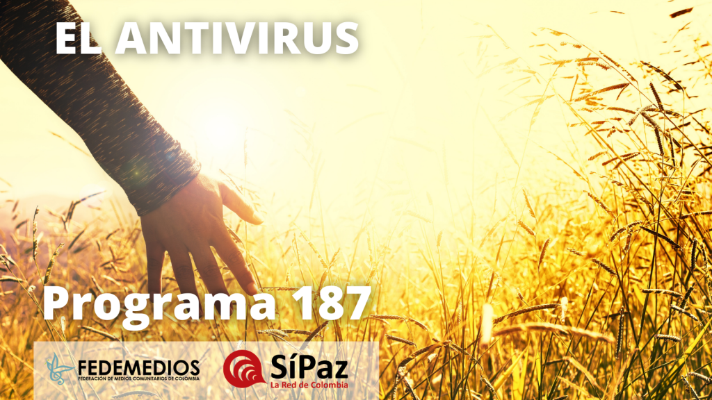 El Antivirus – Programa 186