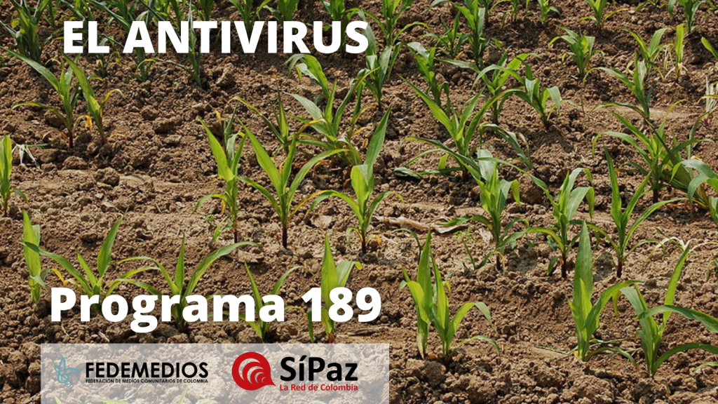 El Antivirus – Programa 189