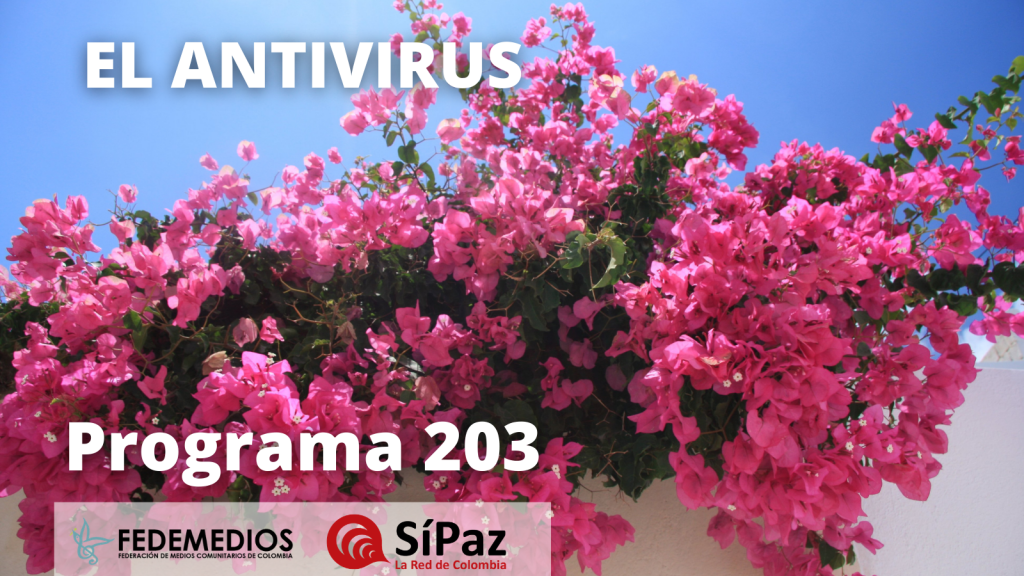 El Antivirus – Programa 203