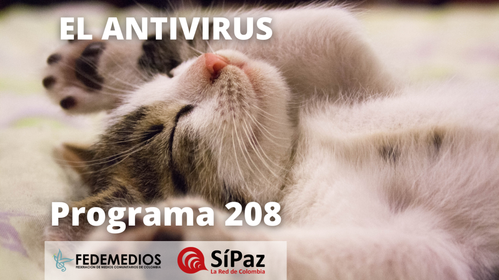 El Antivirus – Programa 208