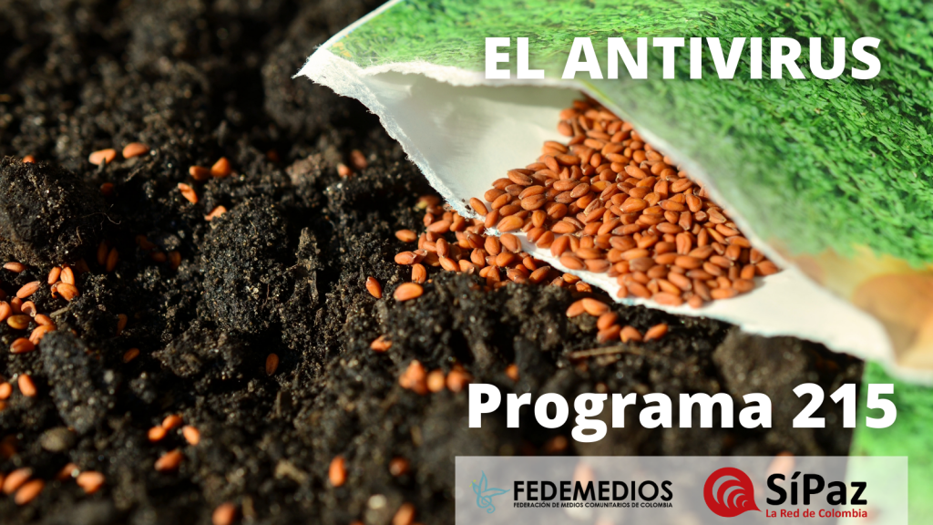 El Antivirus – Programa 215