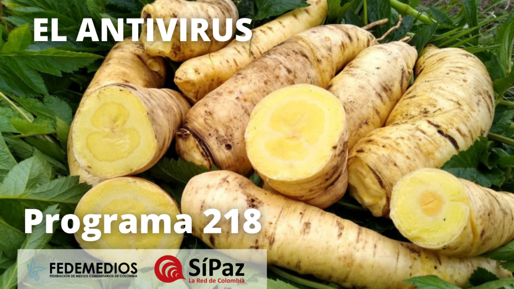 El Antivirus – Programa 218