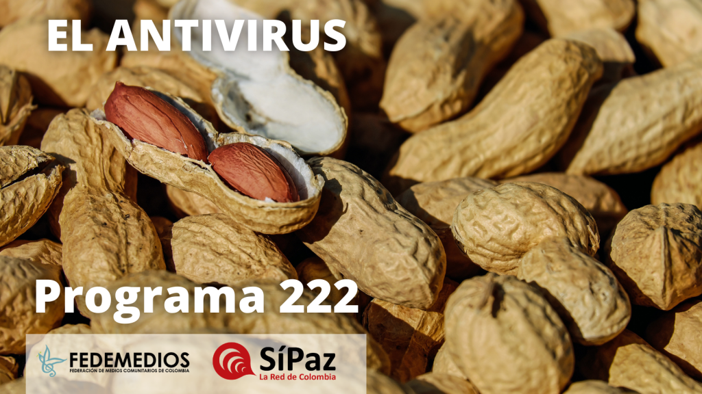 El Antivirus – Programa 222