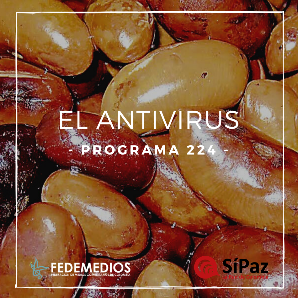 El Antivirus – Programa 224