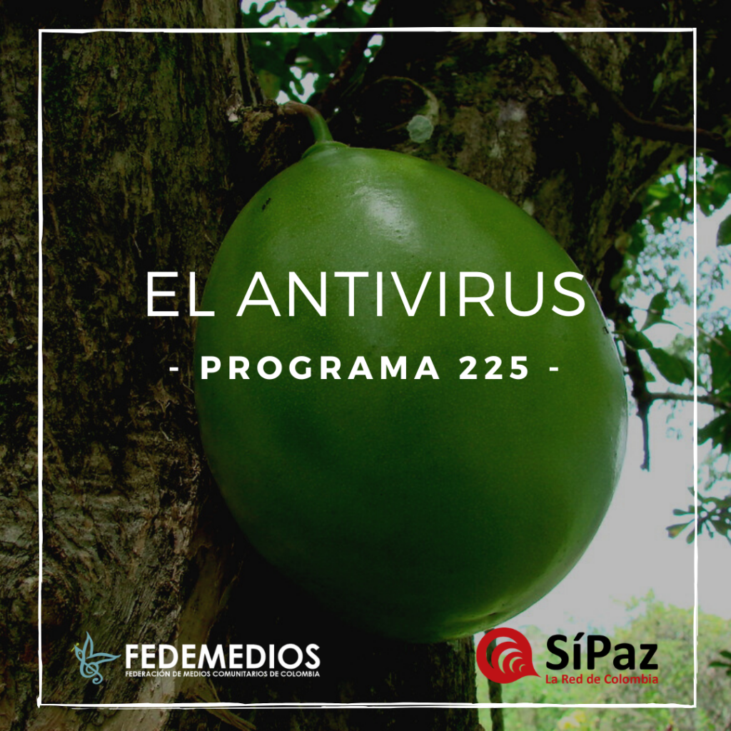 El Antivirus – Programa 225