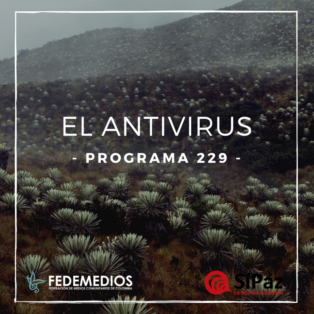 El Antivirus – Programa 229