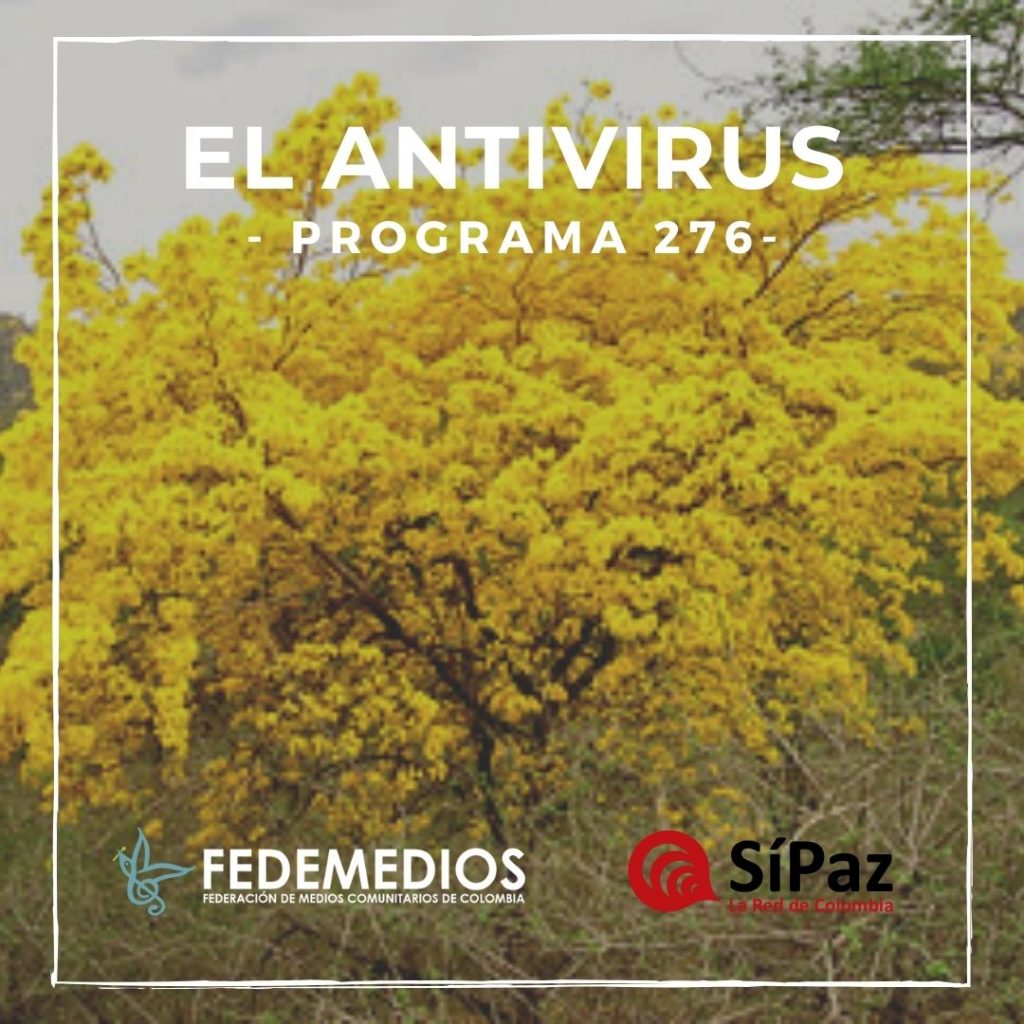 El Antivirus – Programa 276