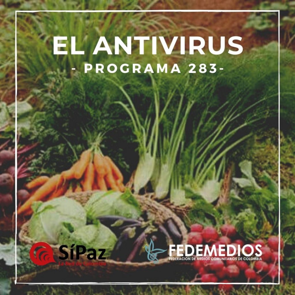 El Antivirus – Programa 283