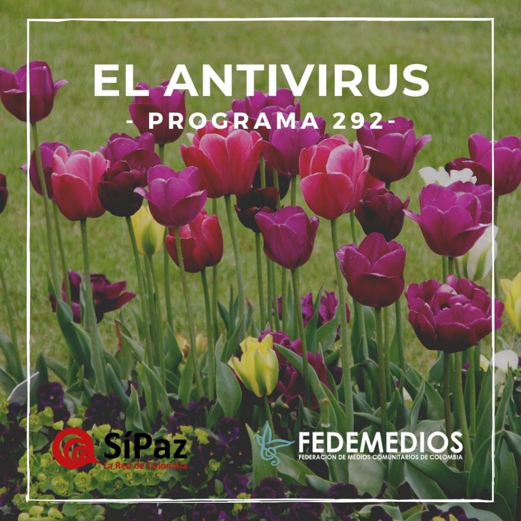 El Antivirus – Programa 292