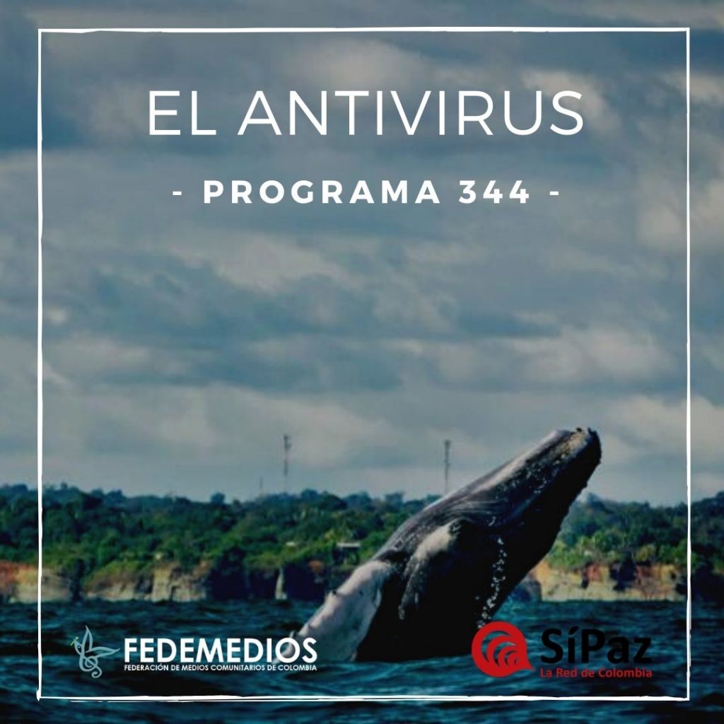 El Antivirus – Programa 344