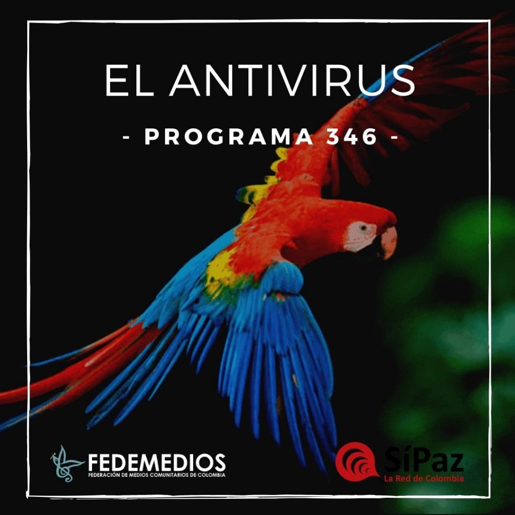 El Antivirus – Programa 346