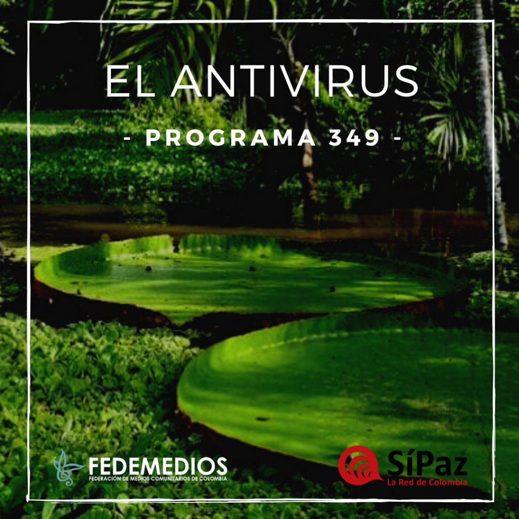 El Antivirus – Programa 349