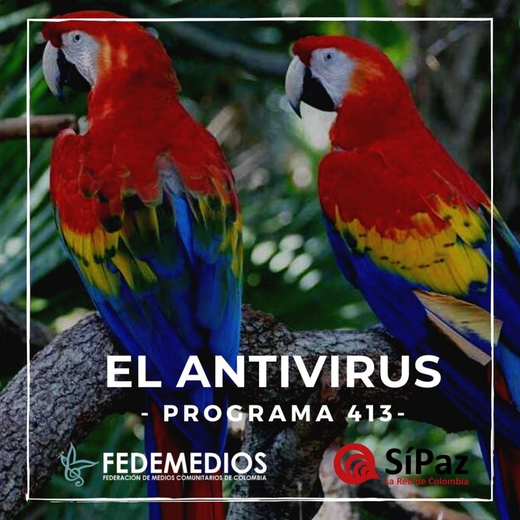 El Antivirus – Programa 413