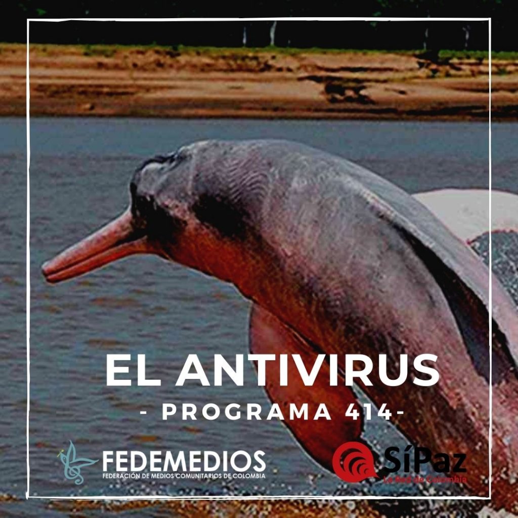 El Antivirus – Programa 414