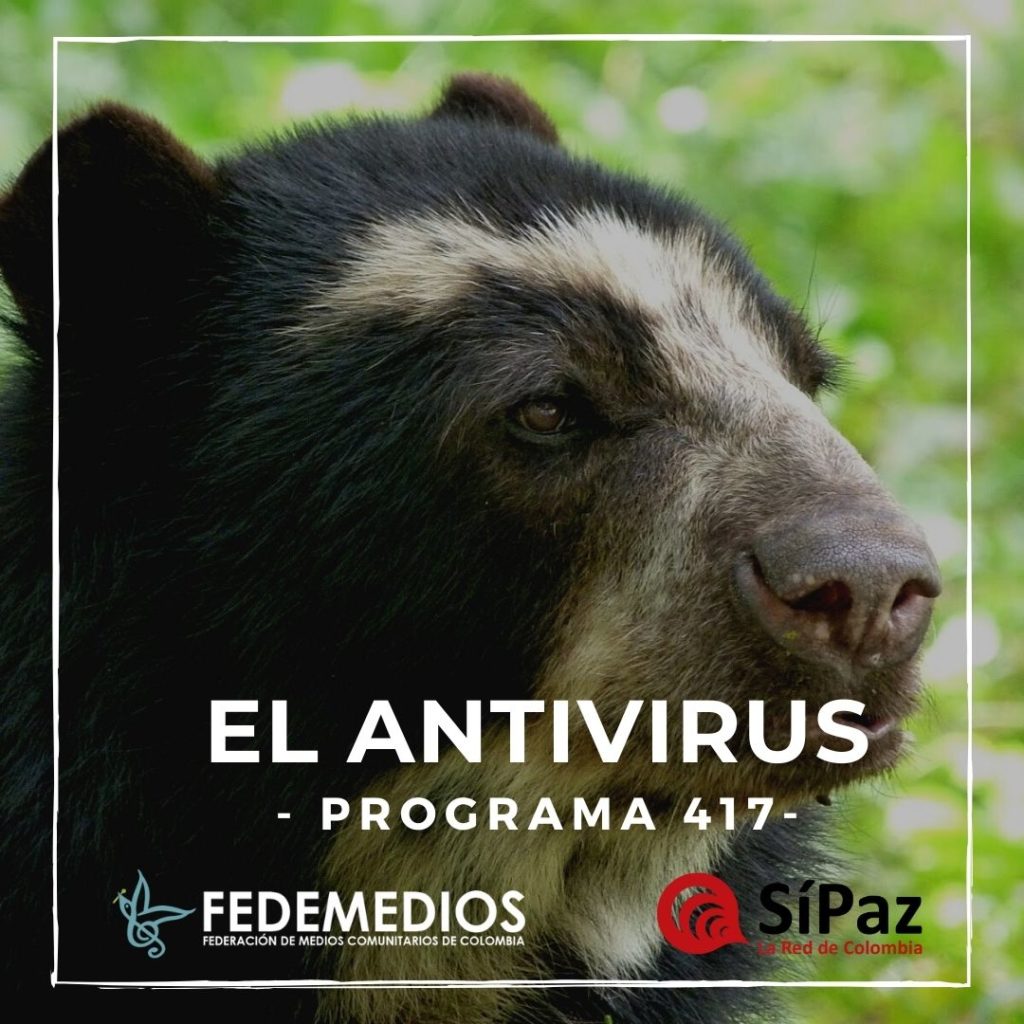 El Antivirus – Programa 417