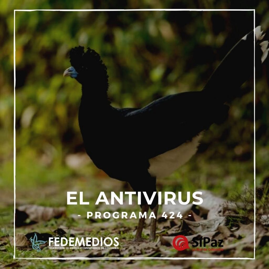 El Antivirus – Programa 424