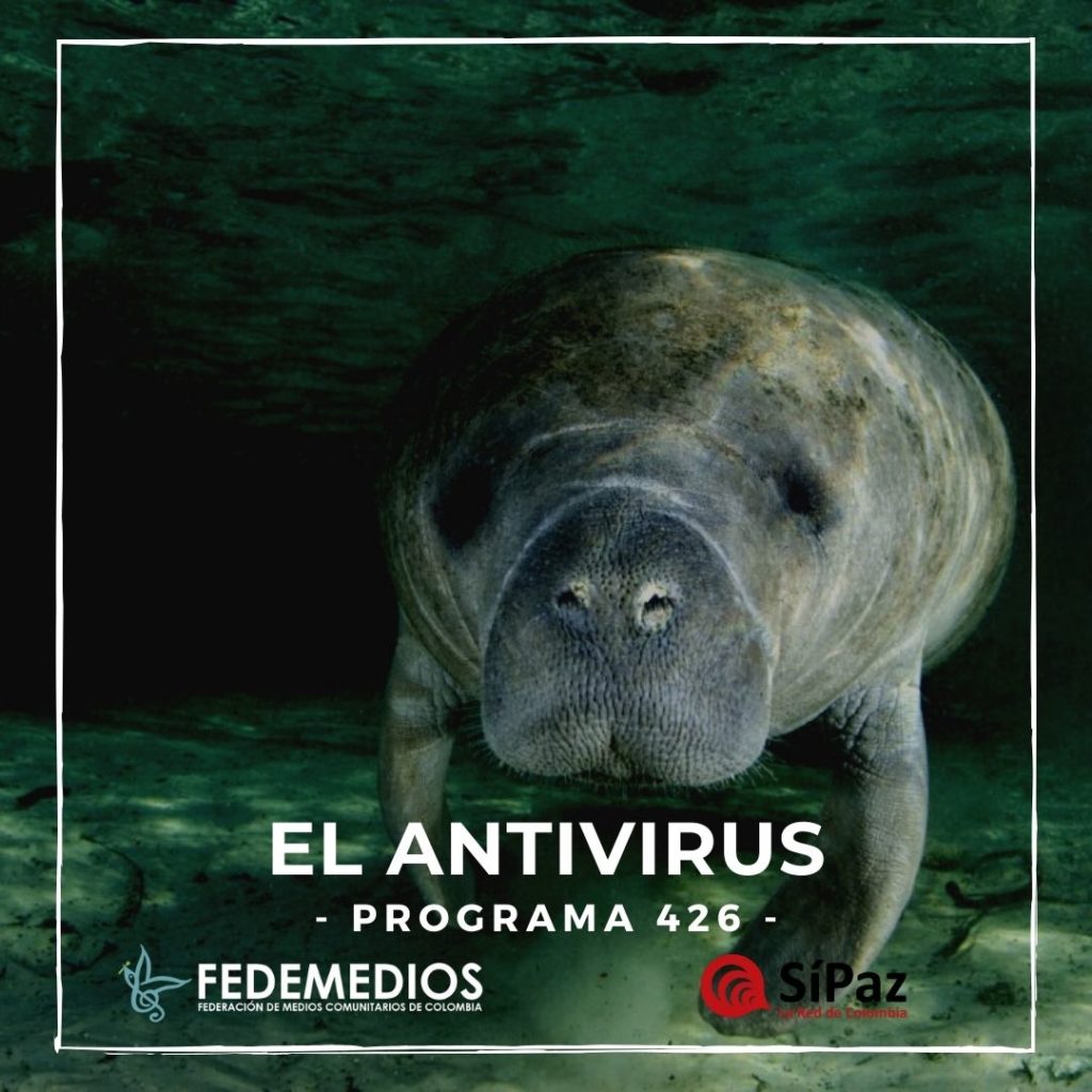 El Antivirus – Programa 426