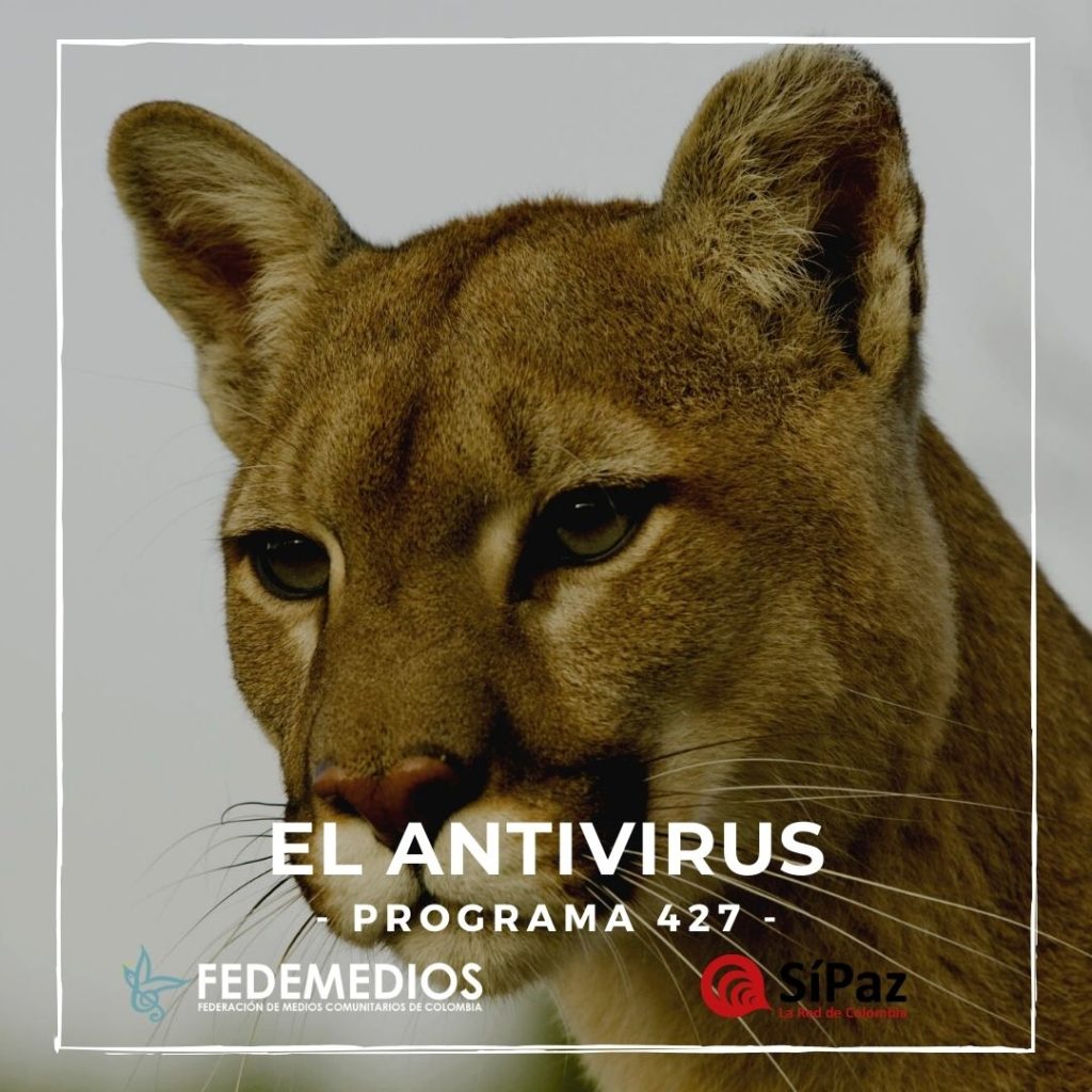 El Antivirus – Programa 427