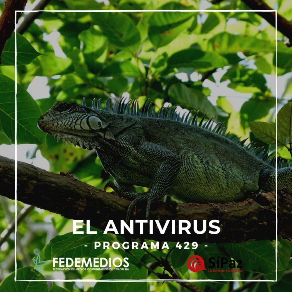 El Antivirus – Programa 429