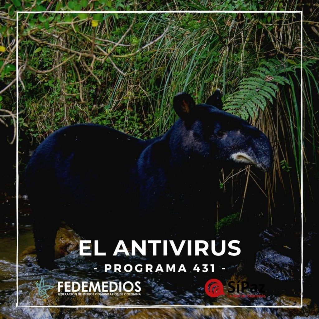 El Antivirus – Programa 431