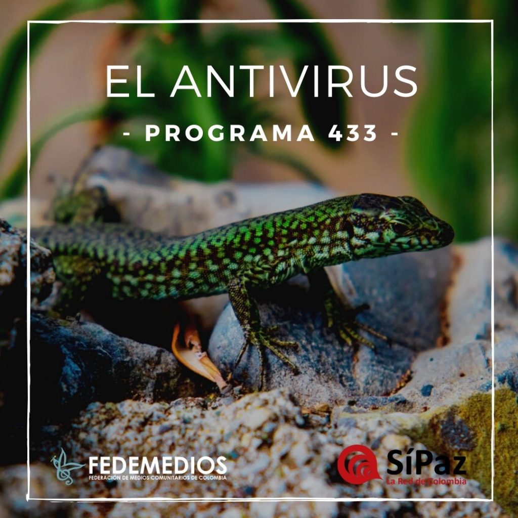 El Antivirus – Programa 433