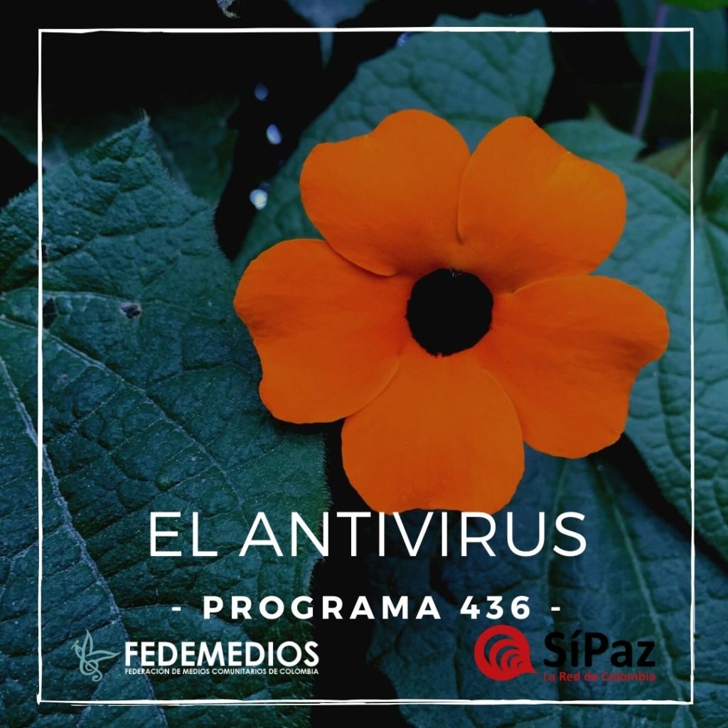 El Antivirus – Programa 436