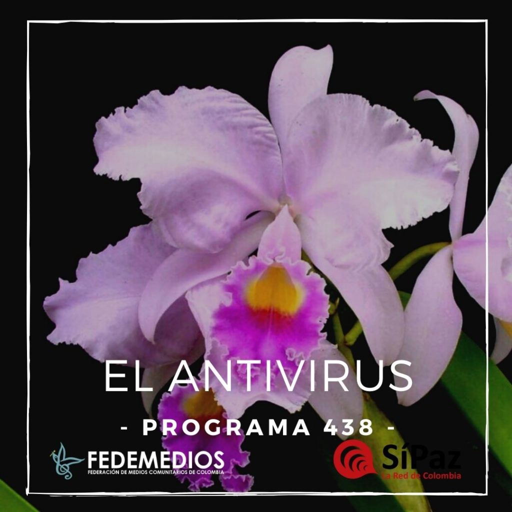 El Antivirus – Programa 438