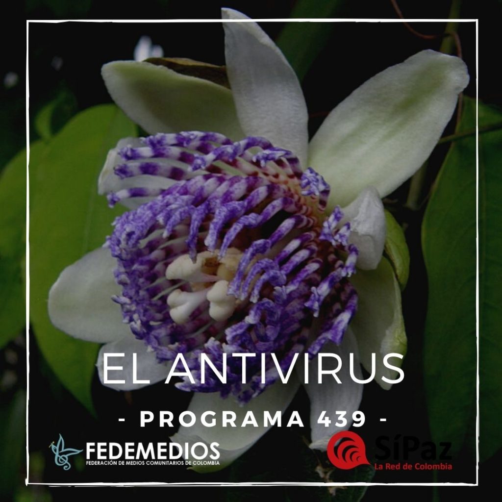 El Antivirus – Programa 439