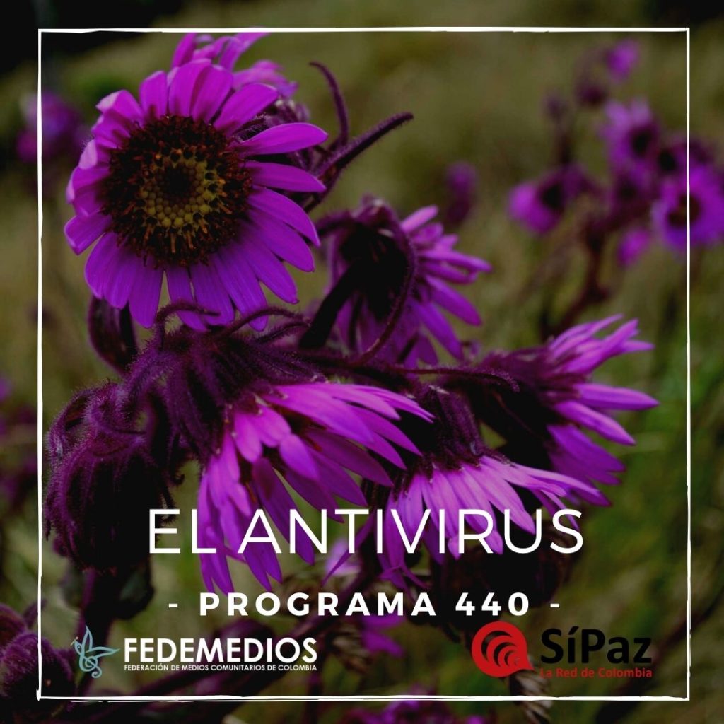 El Antivirus – Programa 440