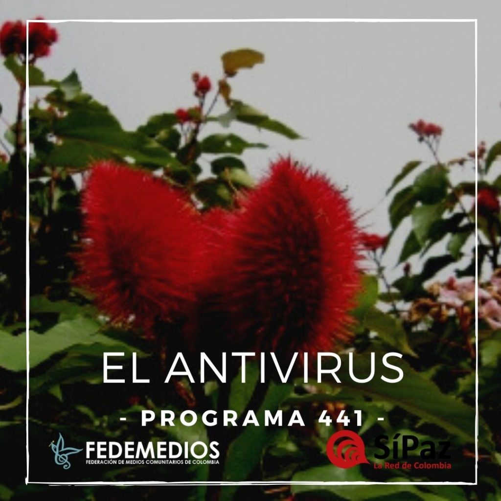 El Antivirus – Programa 441