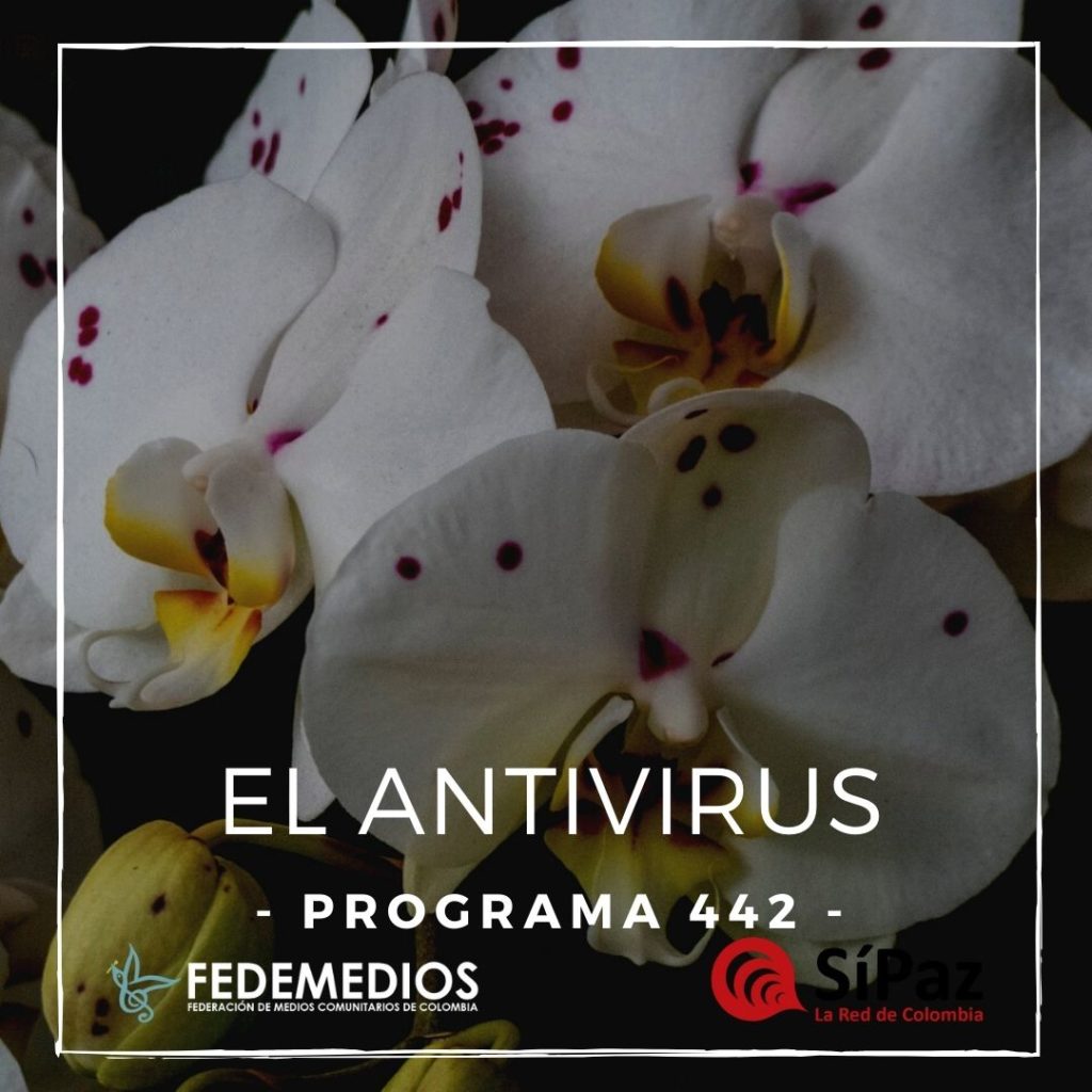 El Antivirus – Programa 442