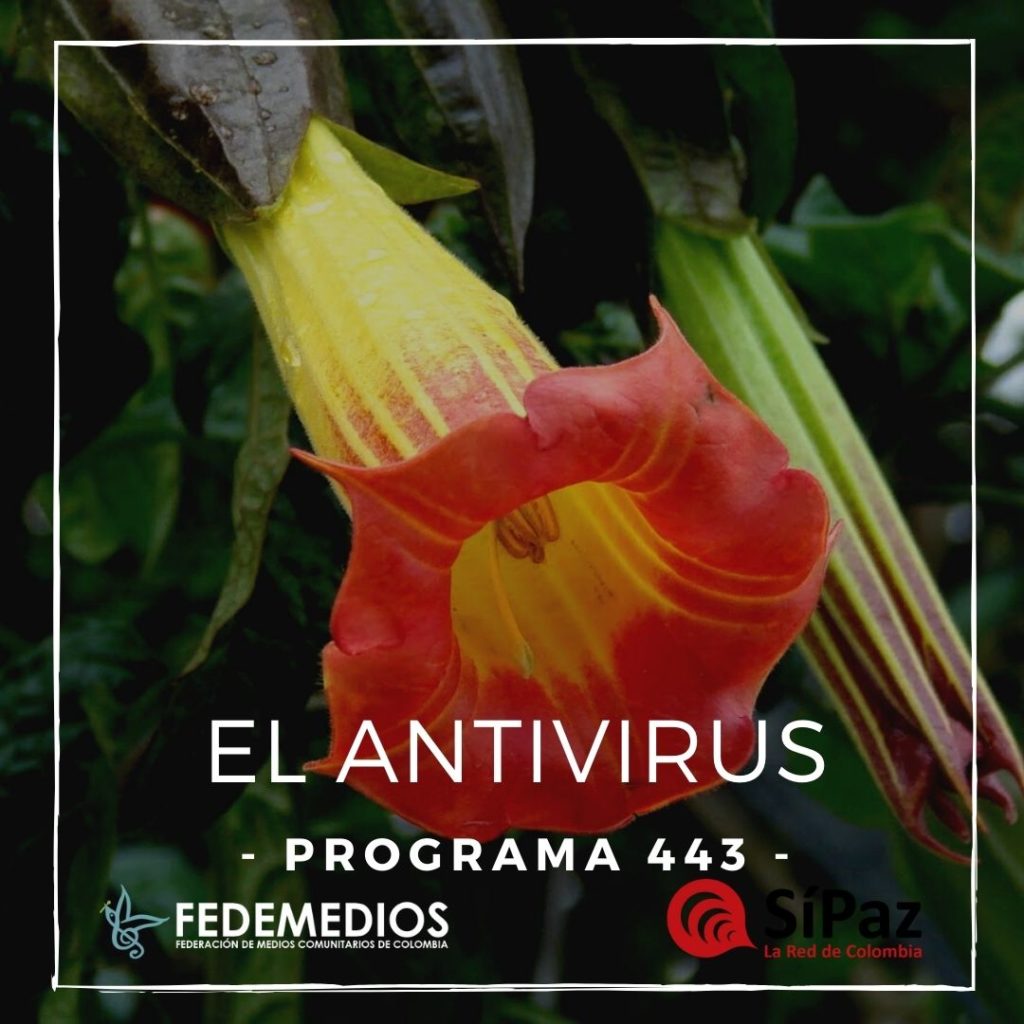 El Antivirus – Programa 443