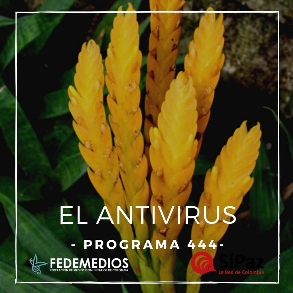 El Antivirus – Programa 444