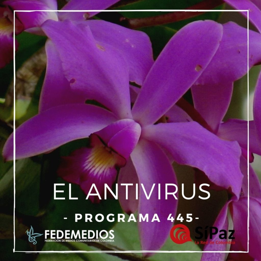 El Antivirus – Programa 445