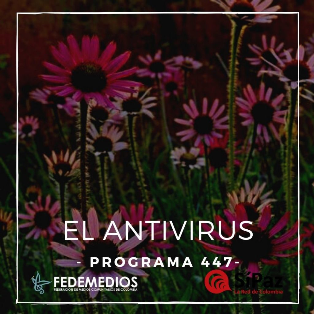 El Antivirus – Programa 447