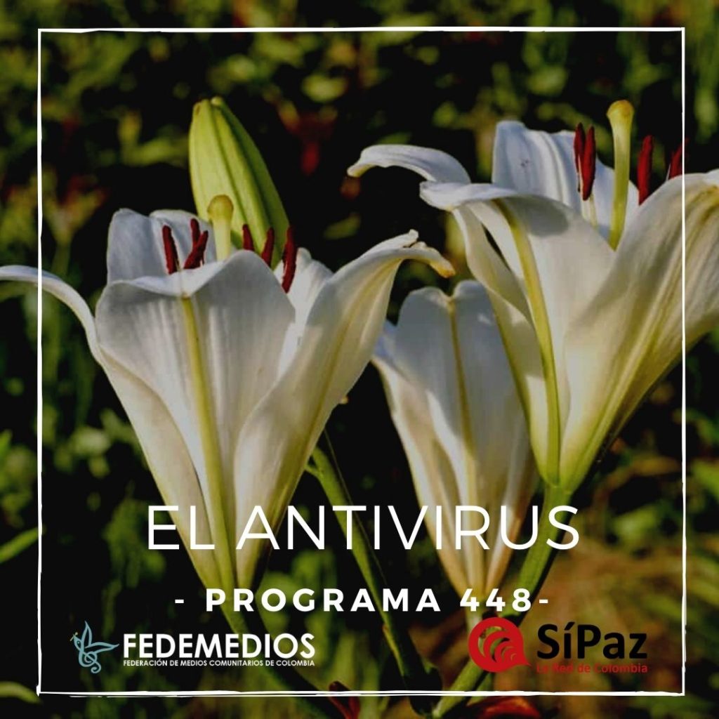 El Antivirus – Programa 448