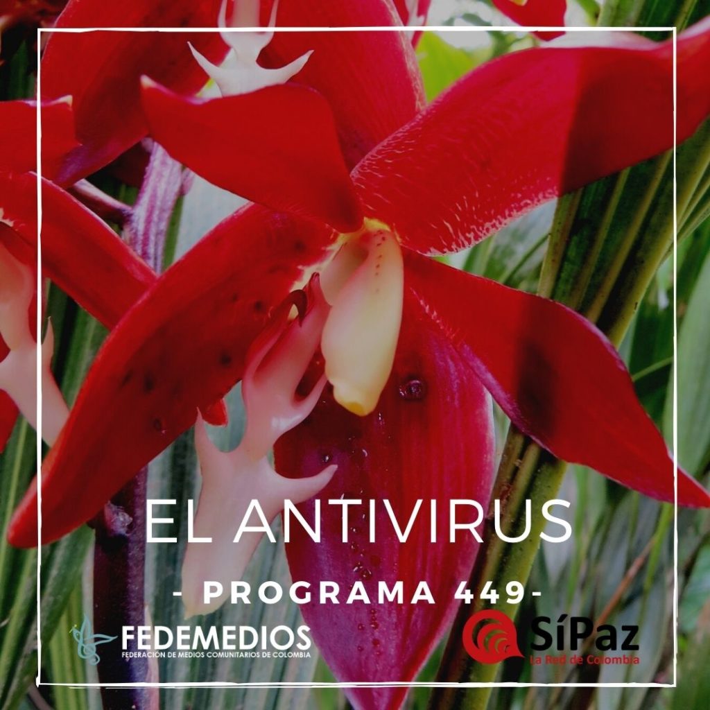 El Antivirus – Programa 449